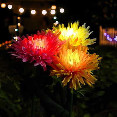 SolarGlow™ -  Chrysantheme Solar Gartenstecker LED [Letzter Tag Rabatt]