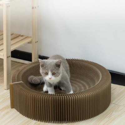 CatScratcher™ - Zusammenklappbares Kratzbrett für Katzen [Letzter Tag Rabatt]