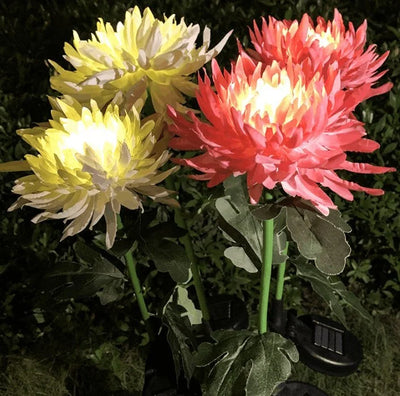 SolarGlow™ -  Chrysantheme Solar Gartenstecker LED [Letzter Tag Rabatt]